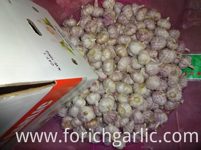 Jinxiang Fresh Garlic
